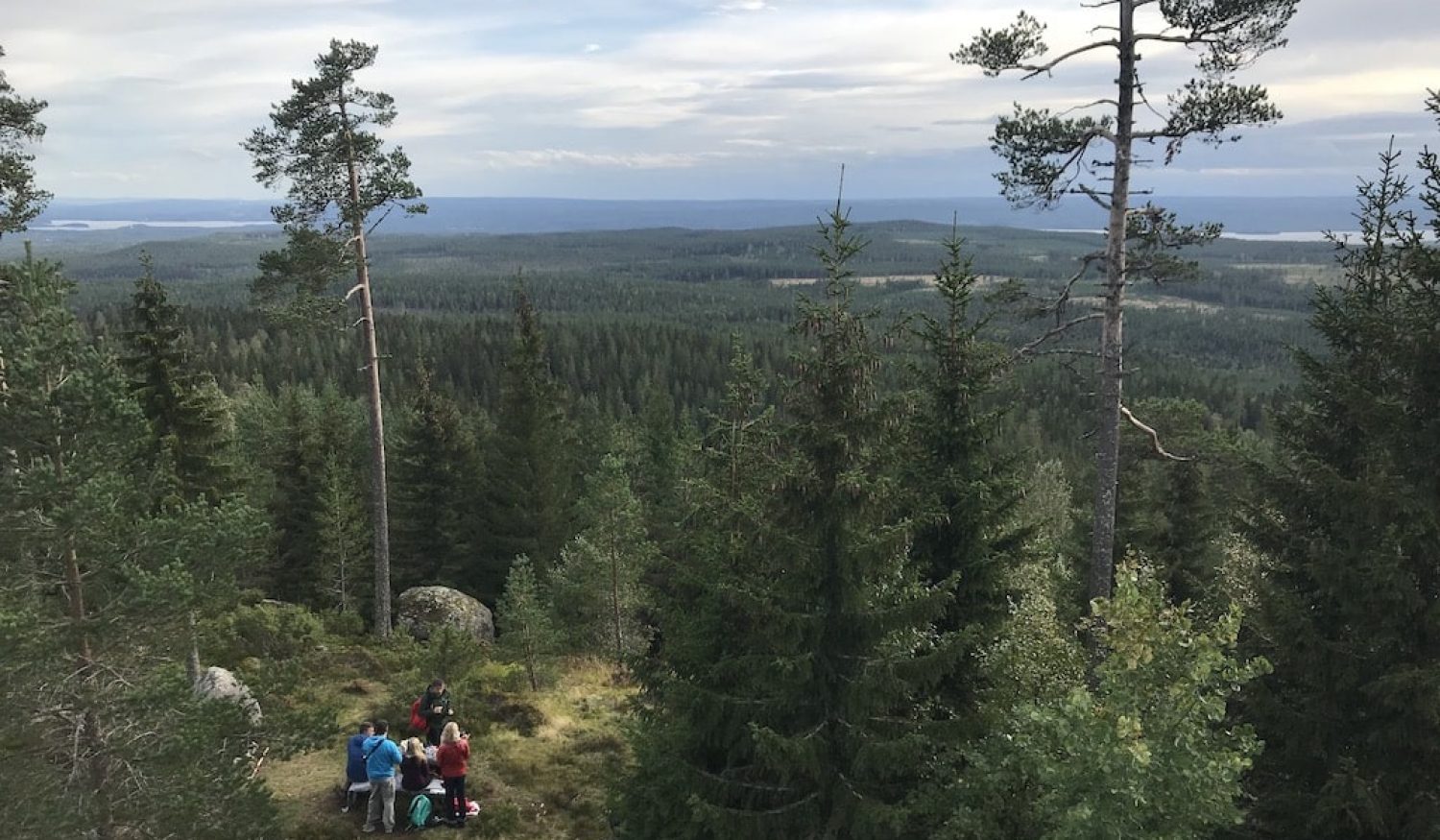 Green-Owl-Travel-Rättvik-Visit-RättvikPicknick-in-the-forest